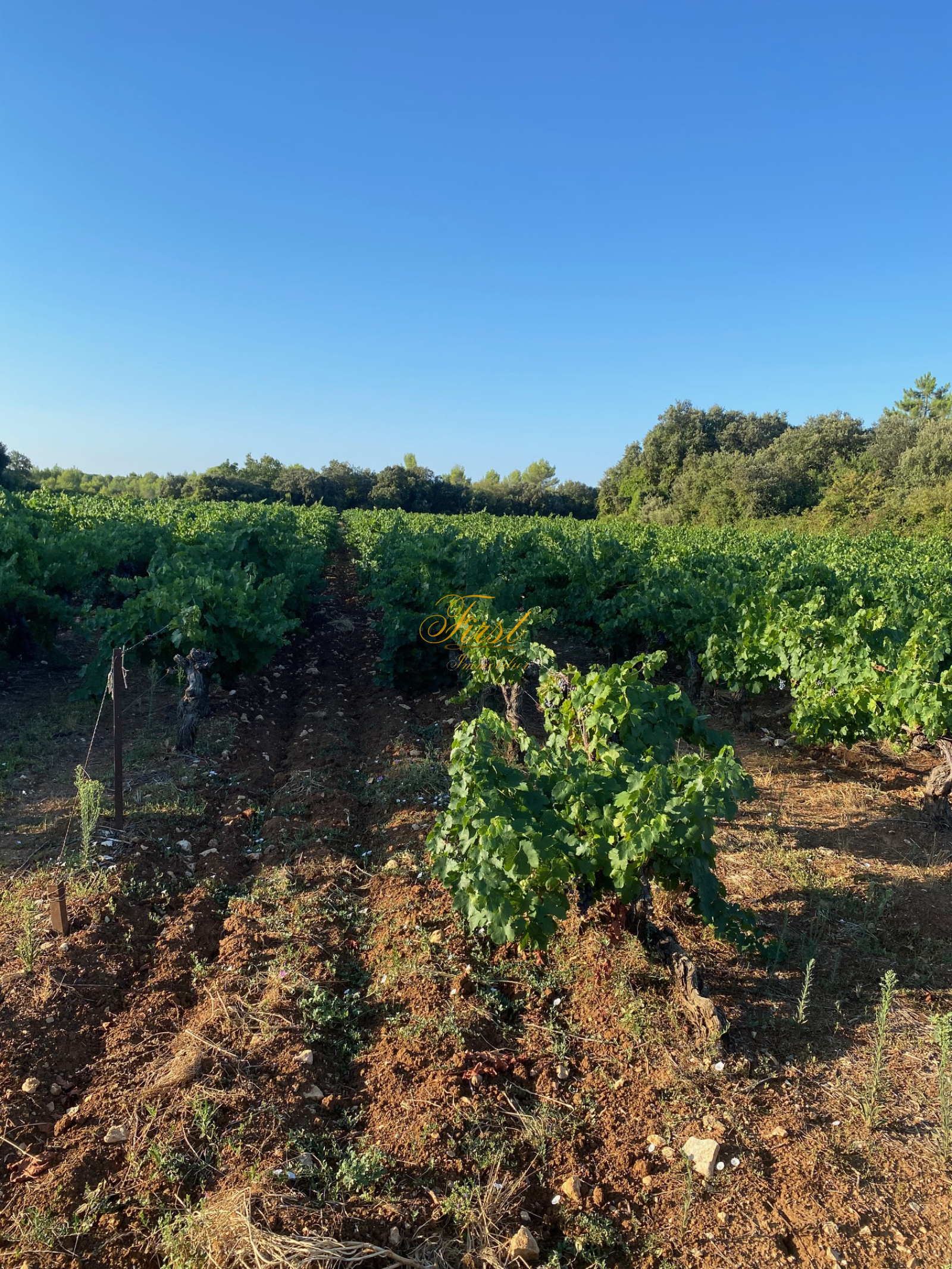 Image_12, Terrain agricole, Galargues, ref :3078