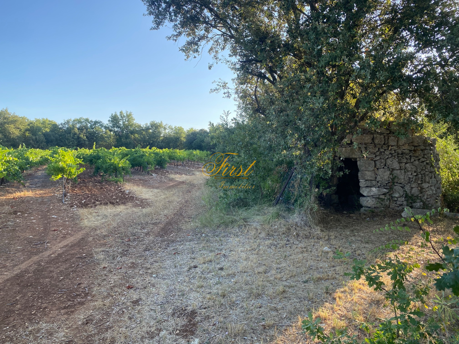 Image_1, Terrain agricole, Galargues, ref :3078