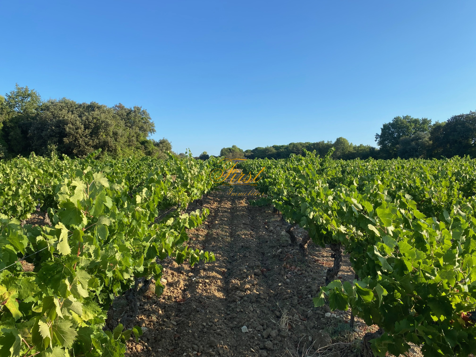 Image_7, Terrain agricole, Galargues, ref :3078