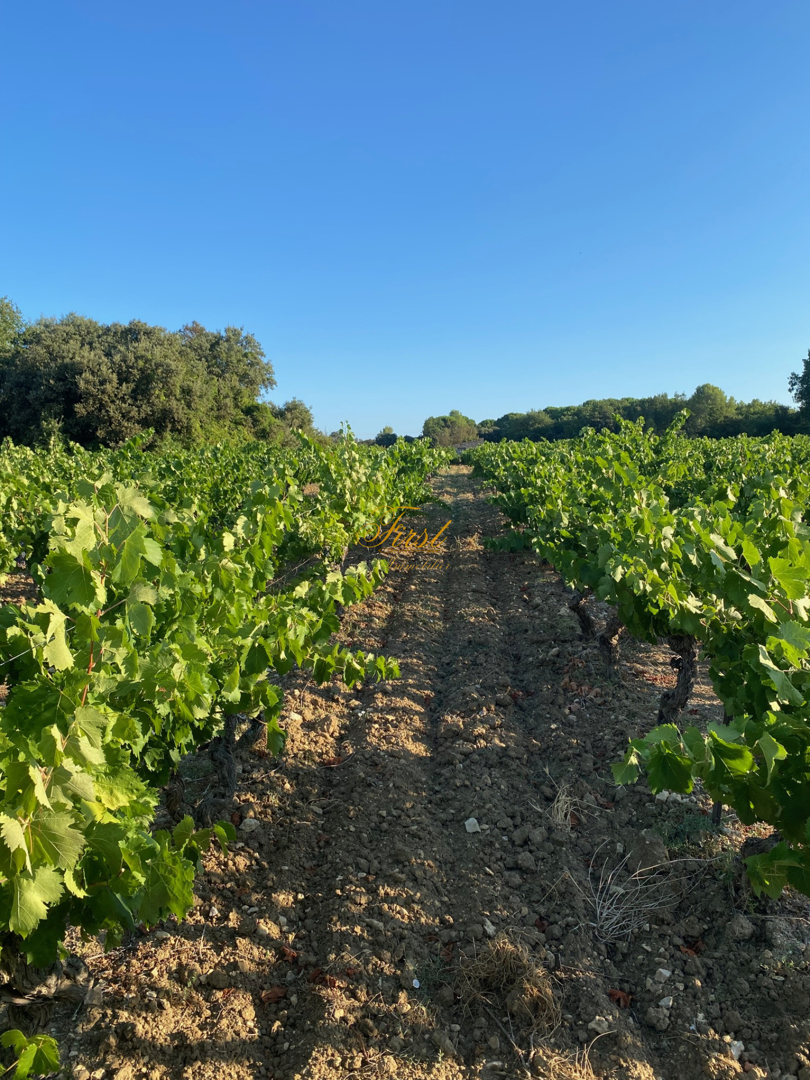 Image_11, Terrain agricole, Galargues, ref :3078