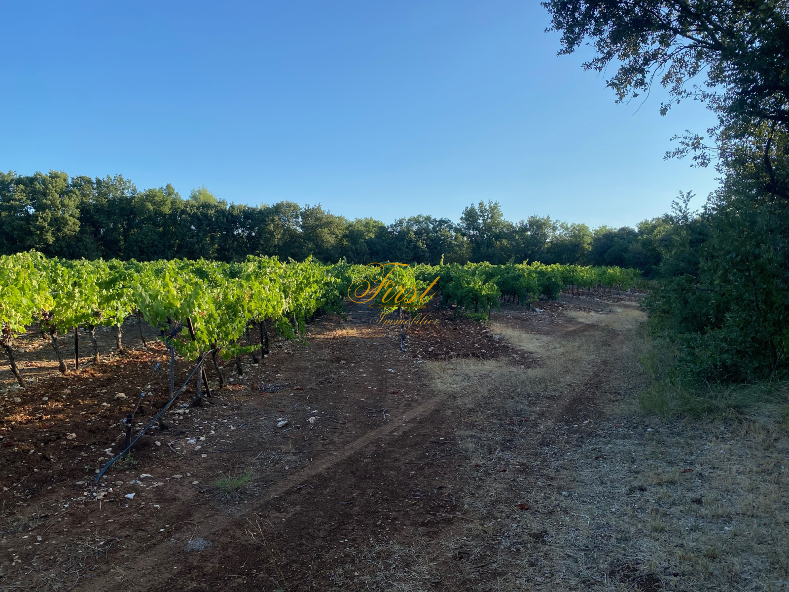 Image_10, Terrain agricole, Galargues, ref :3078