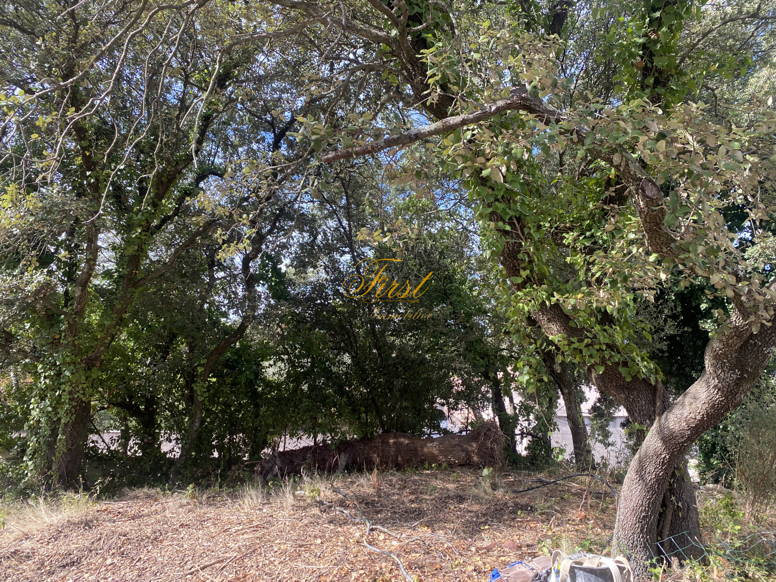 Image_2, Villa, Restinclières, ref :3052