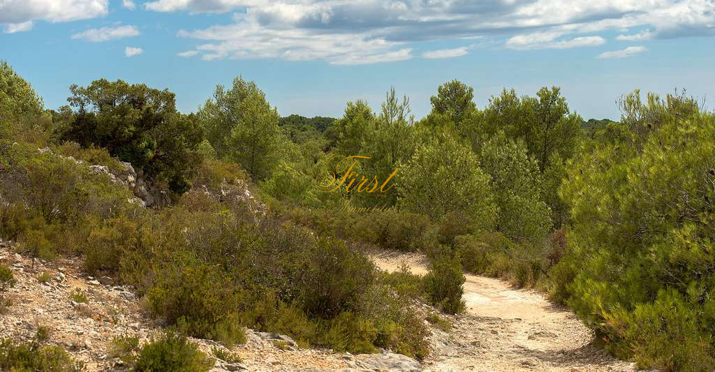 Vente 283 713 M Non Constructible De Bois Et De Taillis